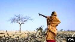 የአየር ንብረት ለውጥና አፍሪካ