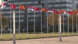 Димитров на Отворен Балкан во Белград