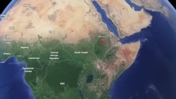 Koomishiniin Mirga Namoomaa Itiyoophiyaa fi Dhaabonni Mormitootaa Ajjeechaa Agamsatti Raaw’atame Ilaalchisee Mata Mataatti Ibsa Baasan 