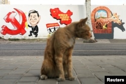 上海街头的习近平宣传画前站着一只猫。（2018年9月28日）