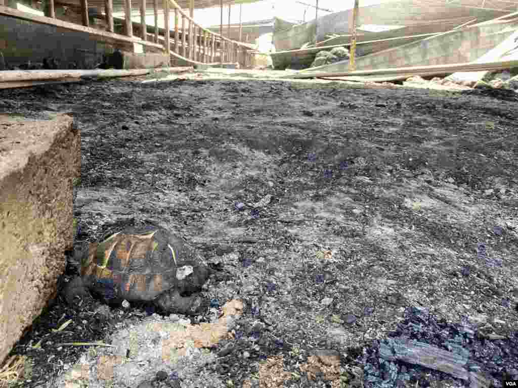 Кочани - ден после пожарот