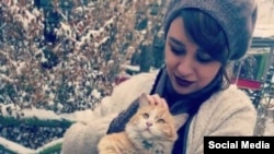 Armita Pavir, siyasi məhbus