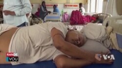 Chalè Ekstrèm ak Move Tan ap Boulvèse Planèt la Dapre yon Nouvo Rapò Nasyon Zini 