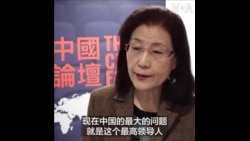 蔡霞：习近平和普京是世界“不安定的根源”
