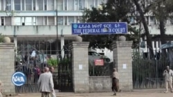 ፍርድ ቤቱ የሽብር ተከሳሾችን የሰብአዊ መብቶች ጥሰት አቤቱታ ስሚ አቋረጠ