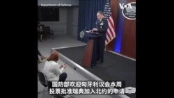 美国防部：期待正式欢迎瑞典成为北约成员国
