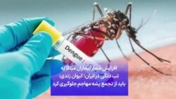 افزایش شمار بیماران مبتلا به تب دنگی در ایران؛ کیوان زندی: باید از تجمع پشه مهاجم جلوگیری کرد