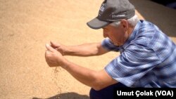Çiftçiler buğdaylarını satmak için Toprak Mahsulleri Ofisi’nden randevu alamadıklarını söylüyor.