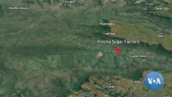 Hojjettoonni Warshaa Sukkaaraa Fincaa'aa Mindaan Irraa Cituu Himatan