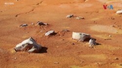 Токсичен отпад на депонија во близина на училиште во Лојане