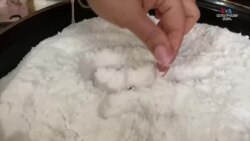 Հողից աղ ստանալու ստեփանակերտցիների հնարքը