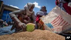 উত্তর ইথিওপিয়ার টিগ্রায় অঞ্চলের আগুলায়, রিলিফ সোসাইটি অফ টিগ্রায়ের বিতরণ করা গম সংগ্রহ করেছেন একজন ইথিওপিয়ান মহিলা। ৮ মে, ২০২১। (ফাইল ছবি)