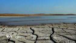 گۆڕانی کەشوهەوا و کاریگەری لەسەر ژینگە 