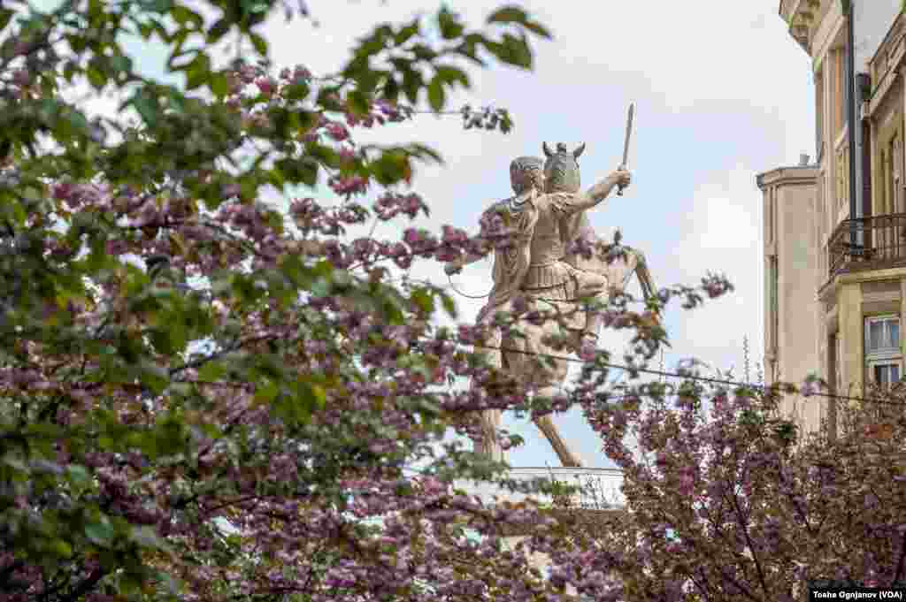 Cherry Blossom in Skopje