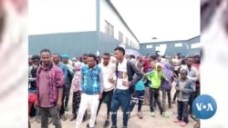 ደብረ ብርሃን የሰፈሩ ተፈናቃዮች እያማረሩ ነው