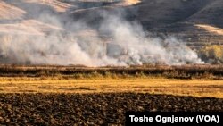 Горењето на стрништата после жетва ја намалува плодноста на почвата, категорични се познавачи на земјоделските науки