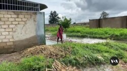 Heavy Rains in Zimbabwe Expose Illegal Occupation of Wetlands