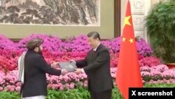 阿富汗驻中国大使比拉尔·卡里米向习近平递交国书。（2024年1月30日）