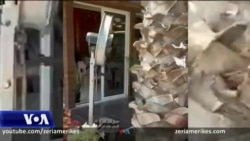 Lë mandatin deputeti socialist, Rrahman Rraja