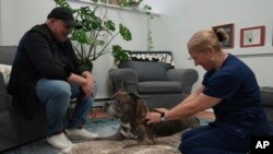 Lisa Walling, dokter hewan yang memberikan jasa perawatan akhir hayat, ditemani David Pescetto saat anjingnya, River, menerima layanan akupunktur di Brewster, New York, Selasa, 7 Mei 2024. (AP Photo/Mary Conlon)