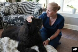 Lisa Walling menyapa pasiennya yang berusia 13 tahun, Rugby, di rumah anjing Newfoundland tersebut di Bedford, New York, 7 Mei 2024. (AP/Mary Conlon)