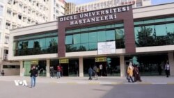 Prof. Vatan Kavak Dibêje Kurd 12 Hezar Sal In bi Domdarî li Ser Axa Xwe Dijîn