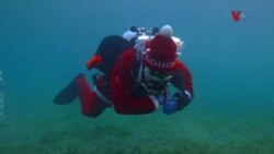 Подводна еко акција на „Акватек“ за чистење на Охридското Езеро