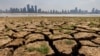 2023 Likely to Be Warmest Year in Recorded History