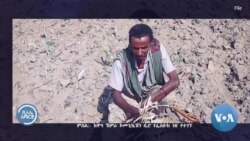 እንባ ጠባቂ ተቋም ስለ ትግራይ ድርቅ የጠራ መረጃ እንዲቀርብ ፓርላማ ይዘዘልኝ አለ