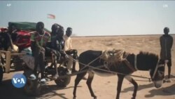 በሱዳን በሚሊዮኖች የተቆጠሩ ዜጎች ለረሃብ መጋለጣቸውን ምግብ ፕሮግራም አስታወቀ