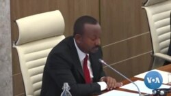 Mootummaan Itiyoophiyaa fi Waraanni Bilisummaa Oromoo Marii Nagaa Taanzaaniyaatti Jalqabuuf Jiran