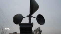 Bandora Guherîna Klîmayê li Ser Jîngehê