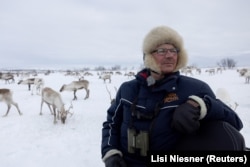 Sami reindeer herder Nils Mathis Sara, 65, monitors his reindeer during supplementary feeding near Geadgebarjavri, up on the Finnmark plateau, Norway, March 13, 2024. (REUTERS/Lisi Niesner)