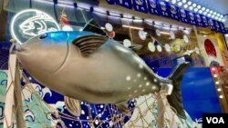 香港政府从2023年8月24日开始禁止日本10个都县水产品进口，有日式餐厅负责人表示，暂时对生意影响不大 (美国之音/汤惠云)