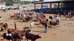 Doktorek li Bazara Ajalan ya Amedê Bûye Firoşkar