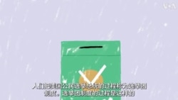 2024 美国总统大选--什么是选举人团？