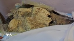 دۆزینەوەی ئێسکێک لە گەرمیان کە مێژووەکەی دەگەرێتەوە بۆ ملیۆنێک ساڵ لەمەوبەر