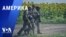 «Америка» – 4 августа 2023 