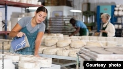FILE - A woman pours a material (slip mass) into plaster molds at a pottery factory.
(Adobe Stock Photo by JackF)
