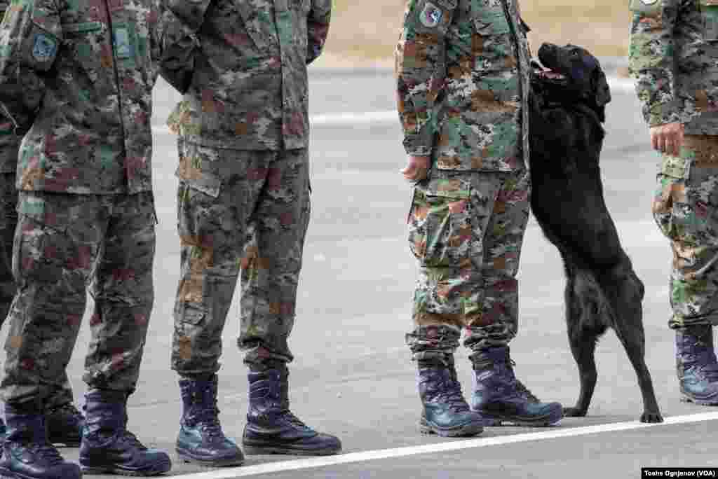 Пречек на специјалните армиски сили од спасувачка мисија во Турција