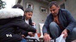 Li Duhokê Malbatek bi Çandina Daran Jîngehê Diparêze