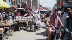 چارواکو په بلوچستان کې د ګرانۍ د کنټرول لپاره یو شمېر دوکانداران جریمه کړي او ځینې قصابان یې نیولي دي
