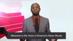 ຮຽນ​ຄຳ​ສັບ​ພາ​ສາ​ອັງ​ກິດ​ໃນ​ຂ່າວ Undocumented