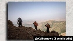 تصویری از چند کولبر