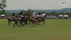 Վիրջինիայից ֆերմերների ընտանիքը մարդկանց ներգրավում է պոլոյի աշխարհ