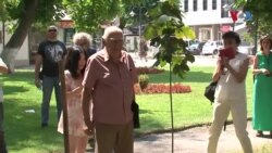 Македонски поети за македонскиот јазик: Неговото постоење е факт, негирањето е апсурдно