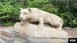 Bir paytlar Pensilvaniya shtatidagi Nittani tog'larida yashagan, keyinchalik yo'qolib ketgan yo'lbars - Penn davlat universiteti timsoli