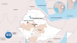 Giddaa Ayyaanaatti Jimaata Dabre Haleellaa Hidhattoota Faannootiin Banameen Namoonni 5 Ajjeesamuu Miidhamtoonnii fi Aangawaan Ibsan