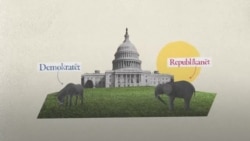 Si u bënë gomari dhe elefanti simbole të demokratëve dhe republikanëve? 