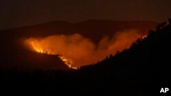 Шумски пожар